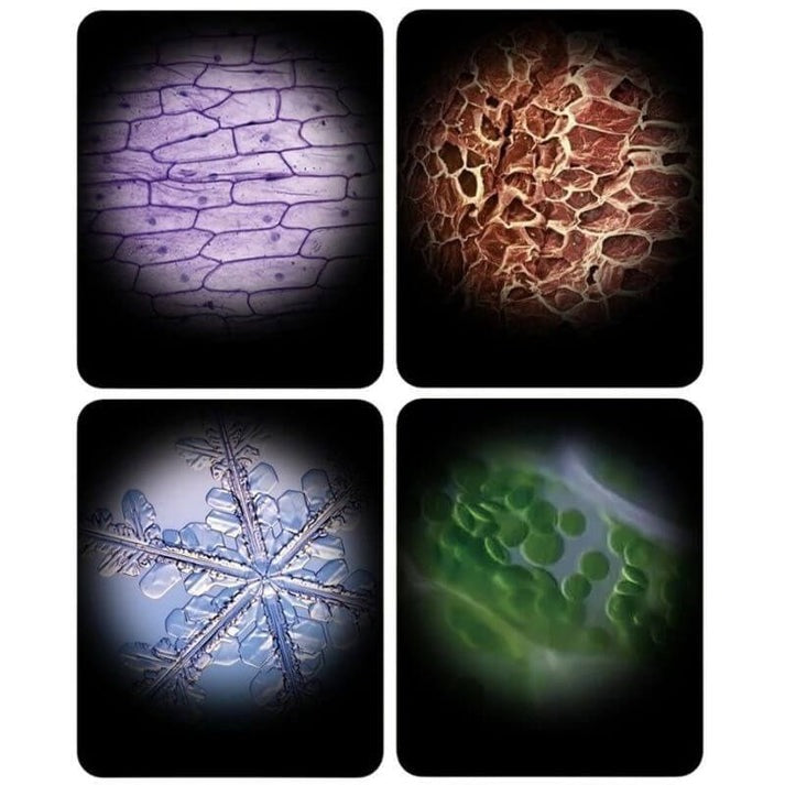 MINISCOPE PRO - Quebeau