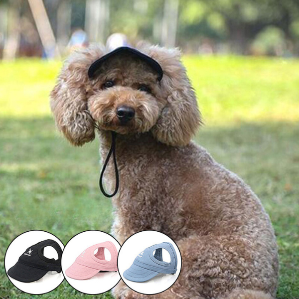 DOG CAP - QUEBEAU™