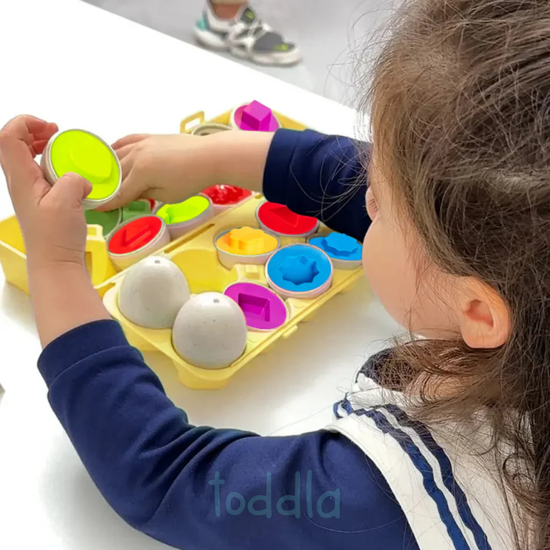 EduEggs™ - Jeu d'Œufs  Montessori Formes & Couleurs