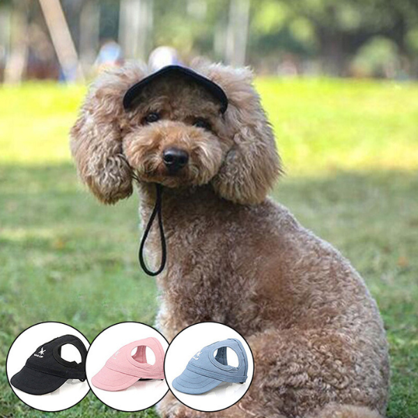 CASQUETTE POUR CHIEN - QUEBEAU™